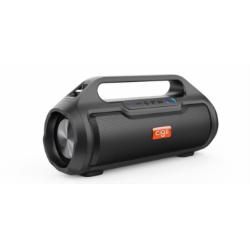    Bluetooth speaker Cigii BM02